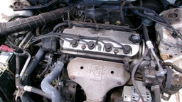 Pacific Auto Auction 2025.03.18.100_0112.JPG