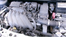 Pacific Auto Auction 2025.03.18.100_0123.JPG