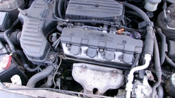Pacific Auto Auction 2025.03.18.100_0158.JPG