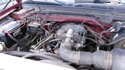 Pacific Auto Auction 2025.03.18.100_0332.JPG