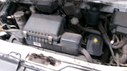 Pacific Auto Auction 2025.03.18.100_0395.JPG