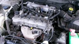 Pacific Auto Auction 2025.03.18.100_0450.JPG