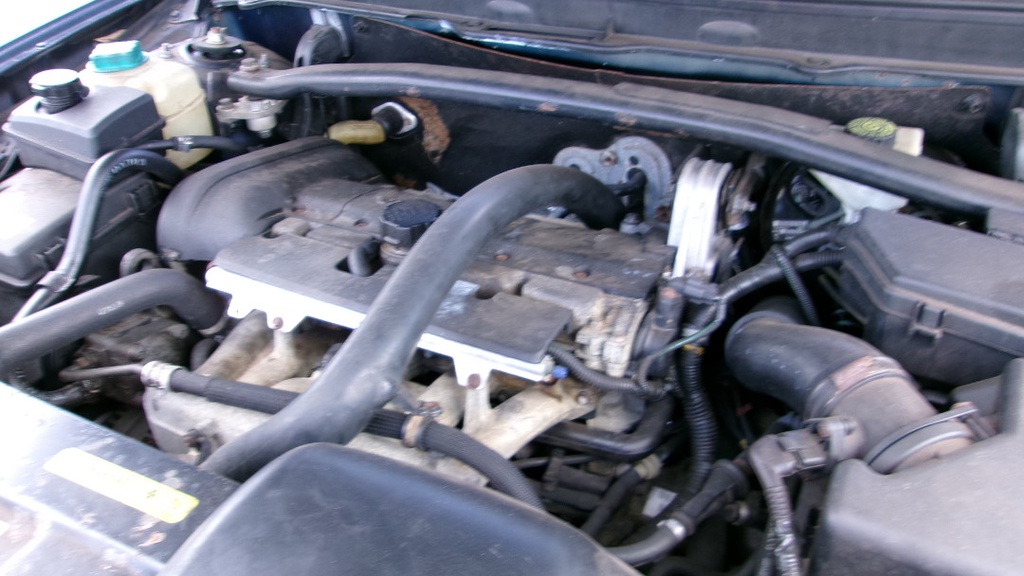 Pacific Auto Auction 2025.03.18.100_0474.JPG