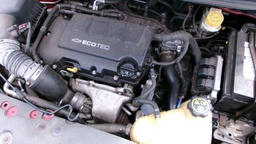 Pacific Auto Auction 2025.03.18.100_0496.JPG