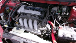 Pacific Auto Auction 2025.03.18.100_0598.JPG