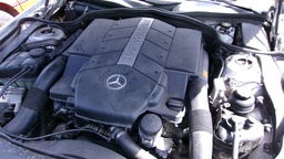 Pacific Auto Auction 2025.03.25.100_0015.JPG