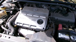 Pacific Auto Auction 2025.03.25.100_0065.JPG