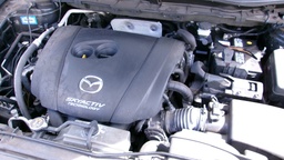 Pacific Auto Auction 2025.03.25.100_0167.JPG