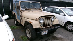 Pacific Auto Auction 2025.04.08.100_0070.JPG