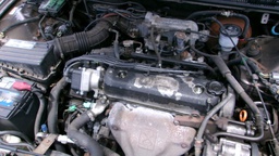 Pacific Auto Auction 2025.04.15.100_0045.JPG