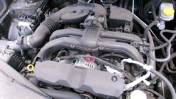 Pacific Auto Auction 2025.04.15.100_0111.JPG