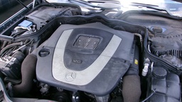 Pacific Auto Auction 2025.04.15.100_0201.JPG
