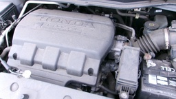 Pacific Auto Auction 2025.04.15.100_0236.JPG