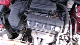 Pacific Auto Auction 2025.04.15.100_0397.JPG