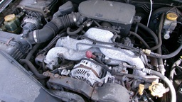 Pacific Auto Auction 2025.04.15.100_0625.JPG