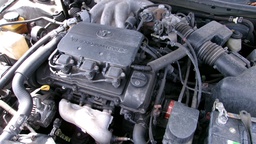 Pacific Auto Auction 2025.04.29.100_0089.JPG