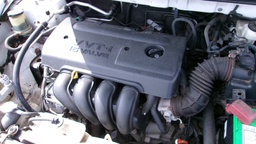 Pacific Auto Auction 2025.04.29.100_0100.JPG