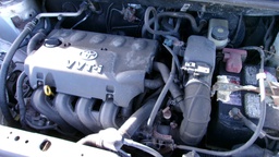 Pacific Auto Auction 2025.05.03.100_0065.JPG