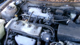 Pacific Auto Auction 2025.05.03.100_0213.JPG