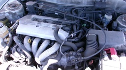 Pacific Auto Auction 2025.05.13.100_0141.JPG