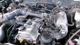 Pacific Auto Auction 2025.05.20.100_0252.JPG