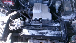 Pacific Auto Auction 2025.05.27.100_0048.JPG