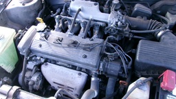 Pacific Auto Auction 2025.06.03.100_0064.JPG