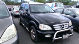 Pacific Auto Auction 2025.06.10.100_0265.JPG