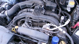 Pacific Auto Auction 2025.06.17.100_0046.JPG