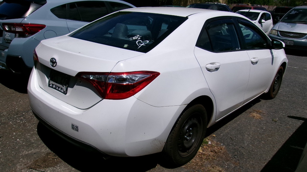Pacific Auto Auction 2025.06.17.100_0062.JPG