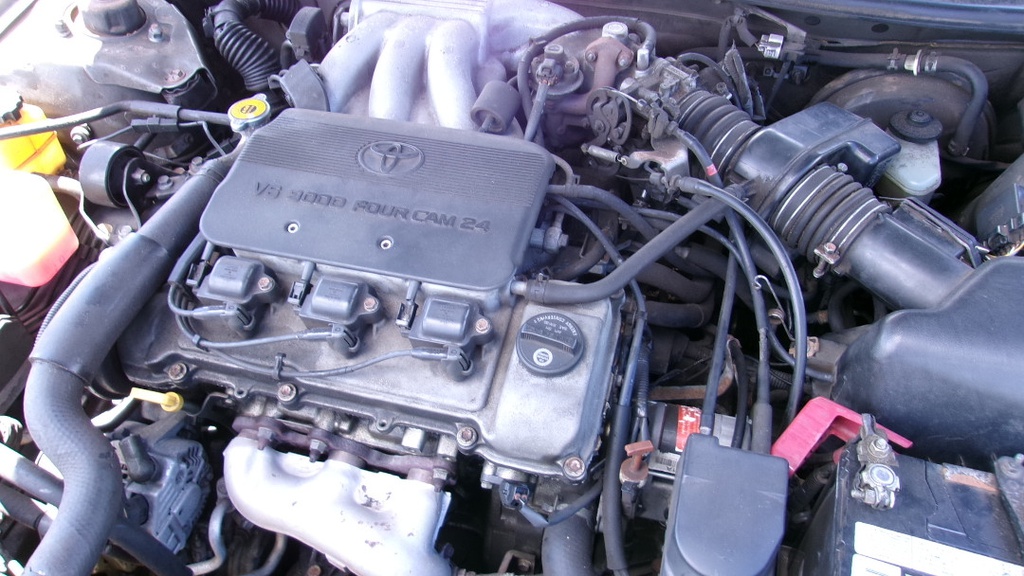 Pacific Auto Auction 2025.06.17.100_0068.JPG
