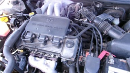 Pacific Auto Auction 2025.06.17.100_0068.JPG