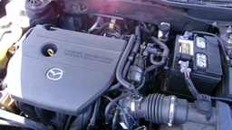 Pacific Auto Auction 2025.06.17.100_0079.JPG