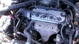 Pacific Auto Auction 2025.06.17.100_0145.JPG