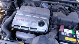 Pacific Auto Auction 2025.06.17.100_0156.JPG