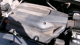 Pacific Auto Auction 2025.06.17.100_0212.JPG