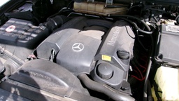 Pacific Auto Auction 2025.06.17.100_0265.JPG