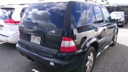 Pacific Auto Auction 2025.06.17.100_0270.JPG