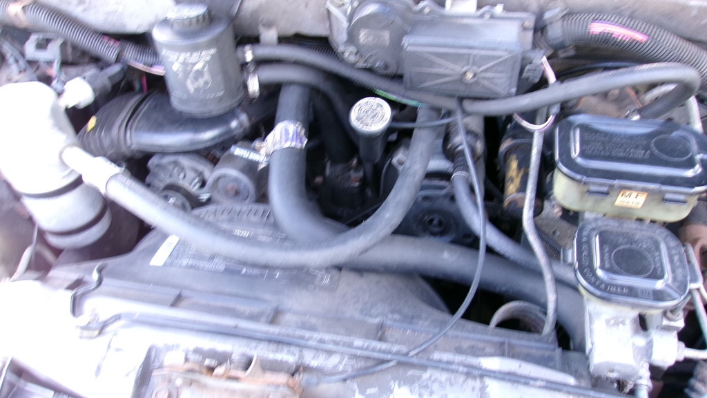 Pacific Auto Auction 2025.06.17.100_0374.JPG