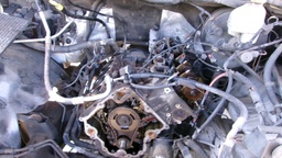 Pacific Auto Auction 2025.06.17.100_0467.JPG