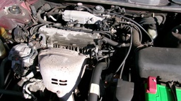 Pacific Auto Auction 2025.06.17.100_0492.JPG