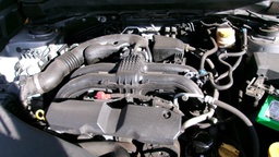 Pacific Auto Auction 2025.06.17.100_0547.JPG