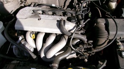 Pacific Auto Auction 2025.06.17.100_0636.JPG