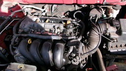 Pacific Auto Auction 2025.06.17.100_0647.JPG