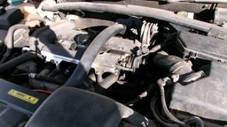 Pacific Auto Auction 2025.06.17.100_0660.JPG