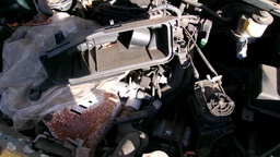 Pacific Auto Auction 2025.06.17.100_0743.JPG