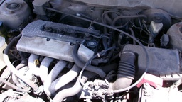 Pacific Auto Auction 2025.06.24.100_0161.JPG