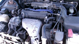 Pacific Auto Auction 2025.06.24.100_0194.JPG