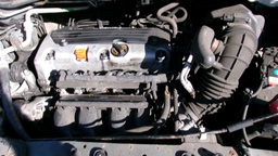 Pacific Auto Auction 2025.06.24.100_0521.JPG