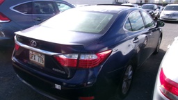 Pacific Auto Auction 2025.06.24.100_0537.JPG